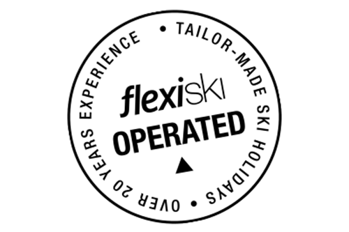 flexiski operated logo