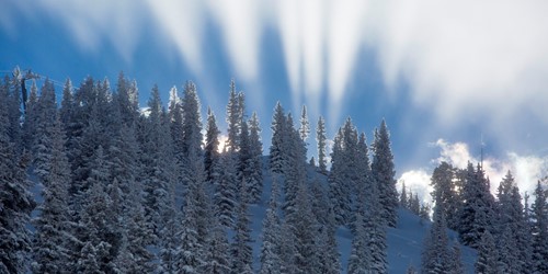 Aspen Snowmass USA strange cloud over trees