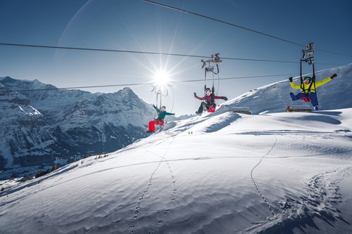 Grindelwald-Switzerland-ziplining.jpg