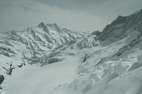 Grindelwald skiing