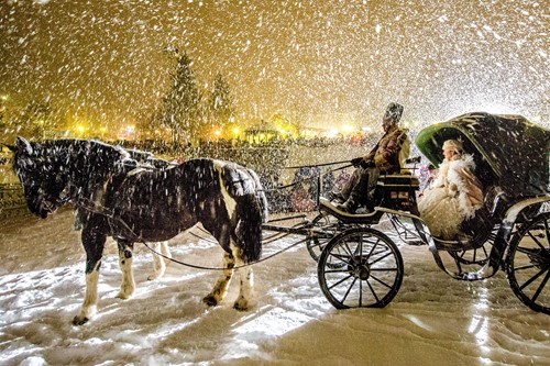 Madonna di Campiglio ski resort-Italy-horse sleigh in the snow