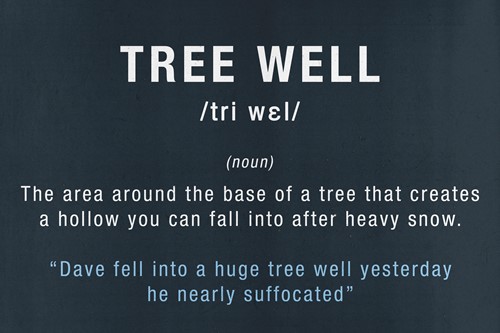 defining the ski terms and jargon talk - tree well