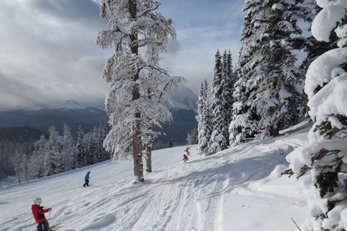 Ski-lake-louise4.JPG