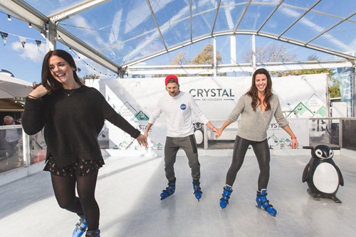 Telegraph ski and snowboard show-ice skating rink