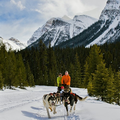 Dog_Sledding_Lake_Louise_Paul_Zizka_3_Vertical.jpg