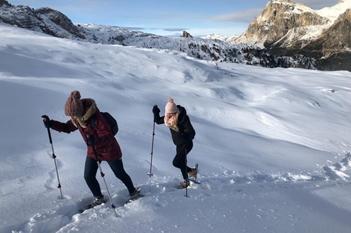 Getting the hang of it