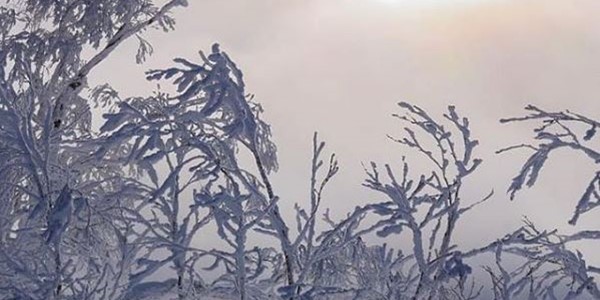 Where Is The Snow? 4th Feb 2019