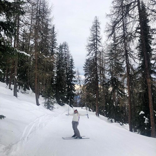 woman on ski slopes winter trees