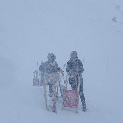 grindelwald sledgers in the snow