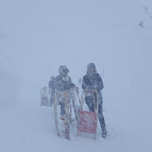 grindelwald sledgers in the snow