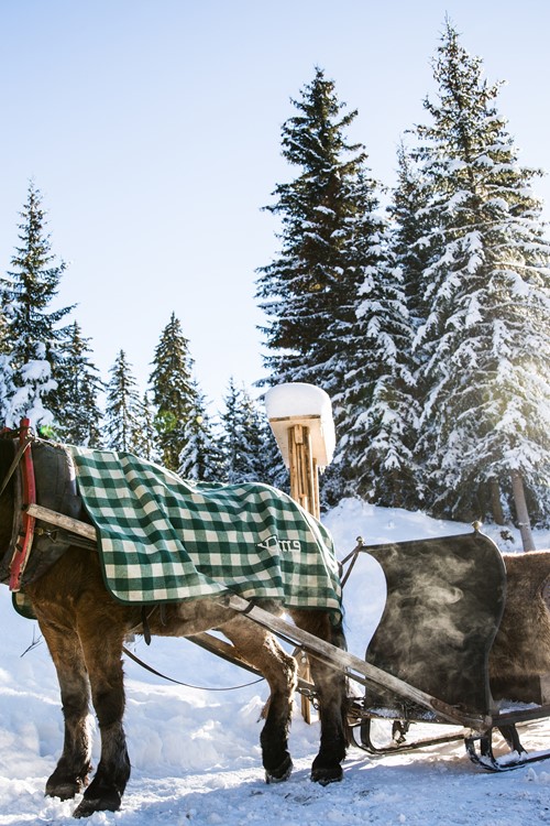 ©Sylvain Aymoz-26.jpg