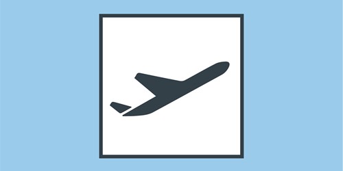 In-Safe-Hands-Icon-Plane.jpg
