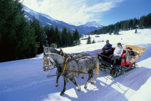 Horse-drawn-cart-in-klosters