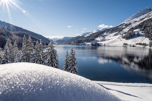 Davos