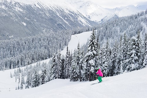 Whistler, Canada - Skiing by Mike Crane