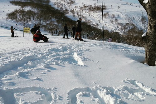 powder snow in niseko, ski japan