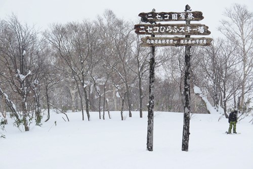 ski signs in niseko - skiing in Japan