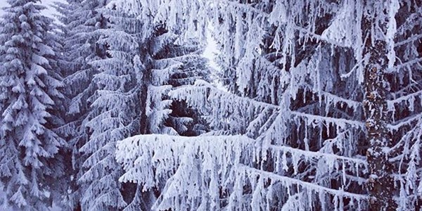 Where Is The Snow? 16th Jan 2017