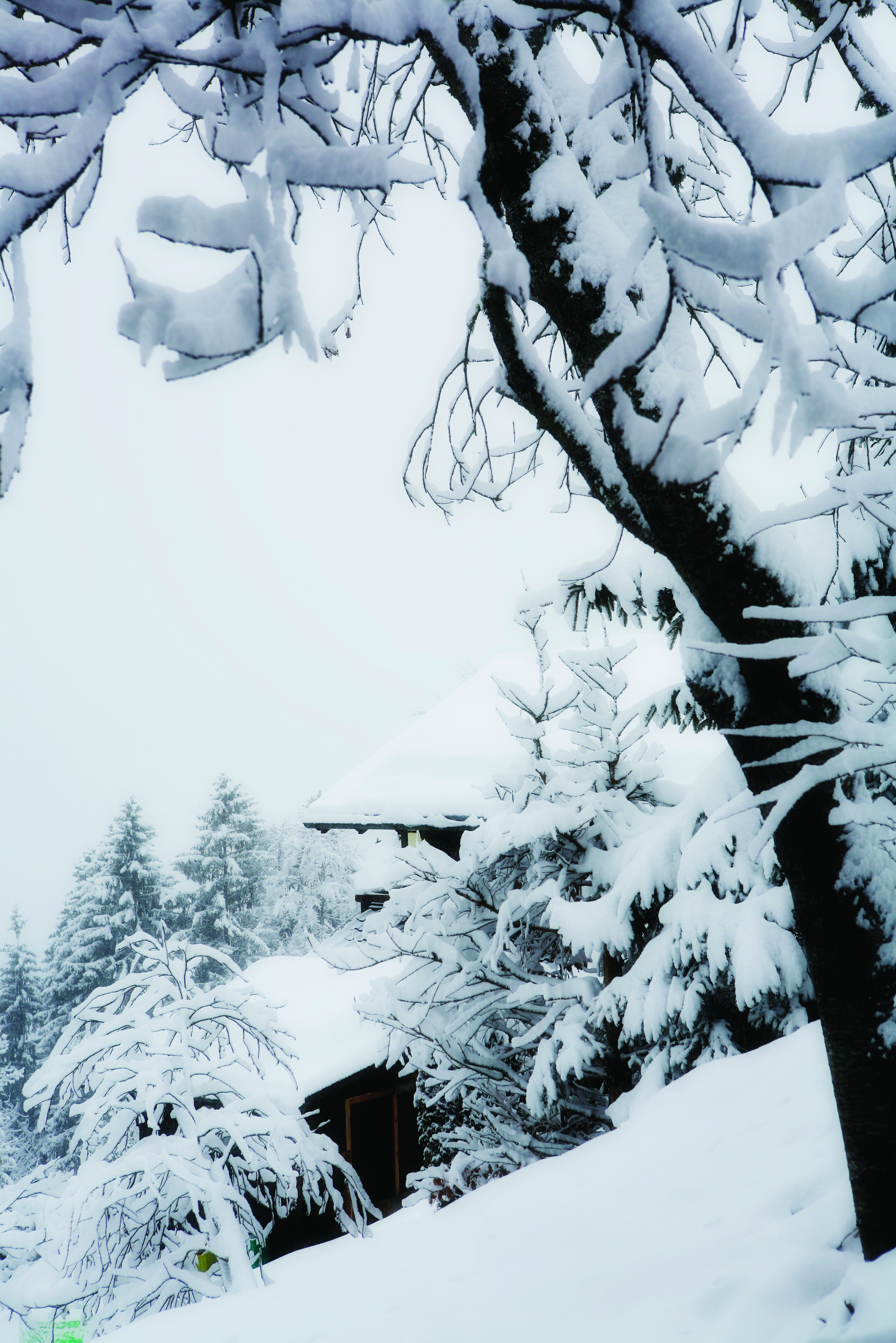 The Top 10 Snow Sure Resorts