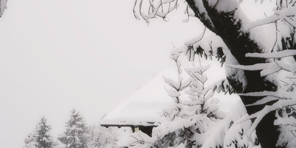 The Top 10 Snow Sure Resorts