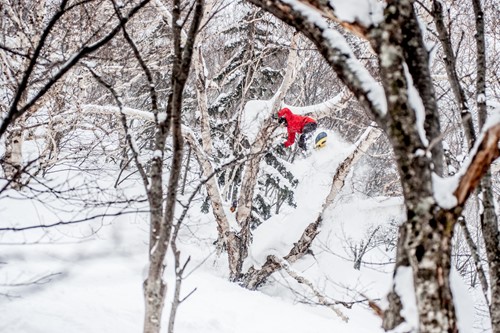 tree skiing in kiroro, off-piste powder skiing japan