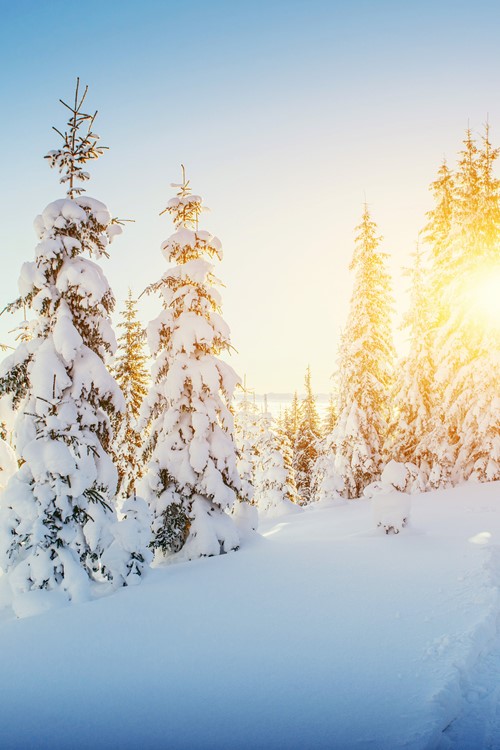 ski weekends and short ski breaks sunset frozen trees and ski tracks