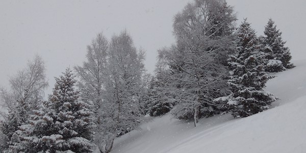 Where Is The Snow? 11th Jan 2019