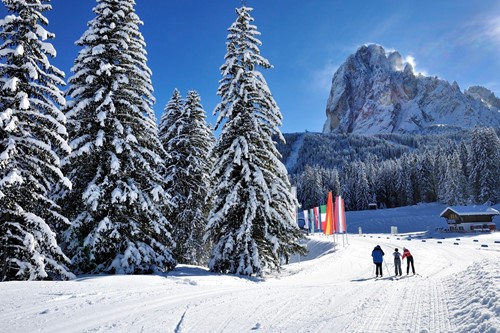 Skiing in Selva Val Gardena, snowy trees and mountain views