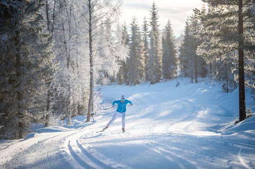 Trysil cross country skiing