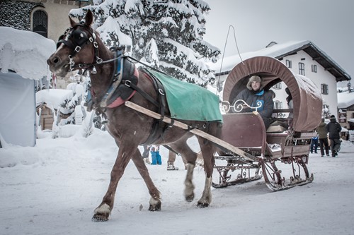 horse sled megeve