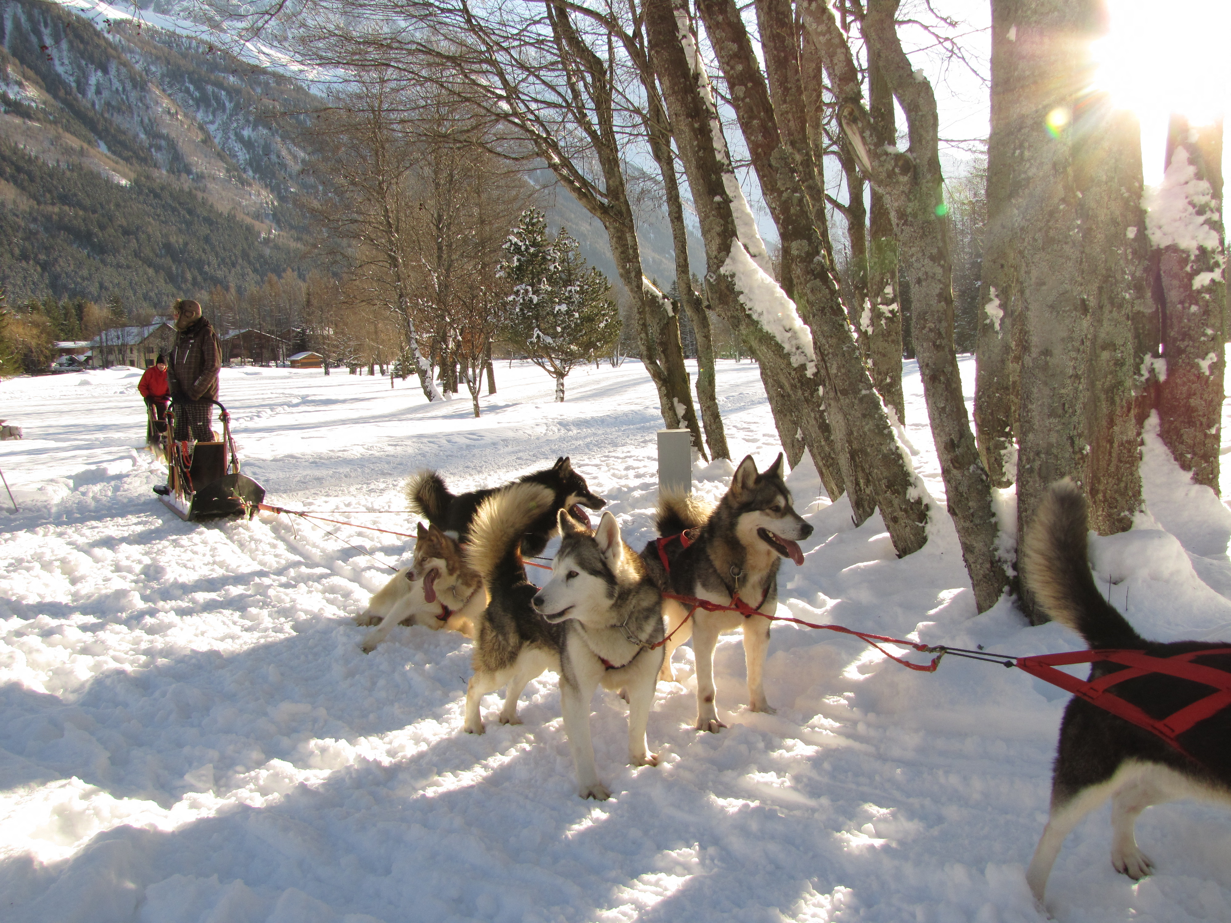 Chamonix ski weekends France husky sledding
