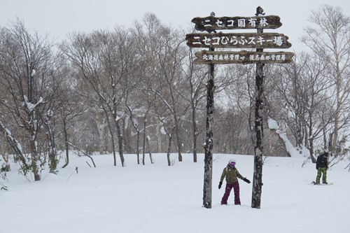 Niseko skiing, ski holidays in Japan