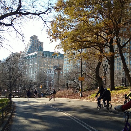 New York twin centre, cycle central park