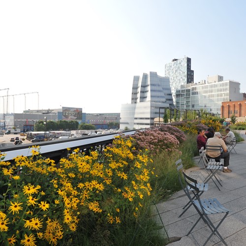 New York multi centre, high line