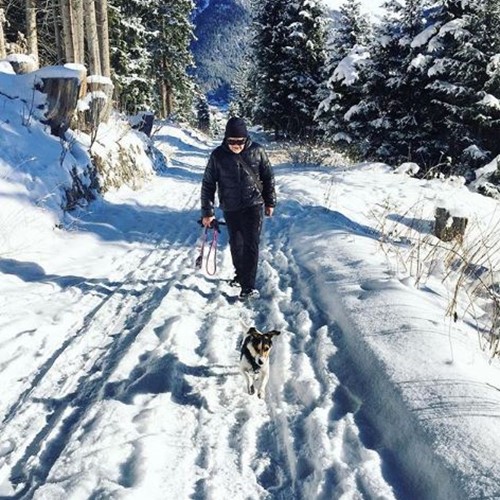 Klosters, fresh snowfall