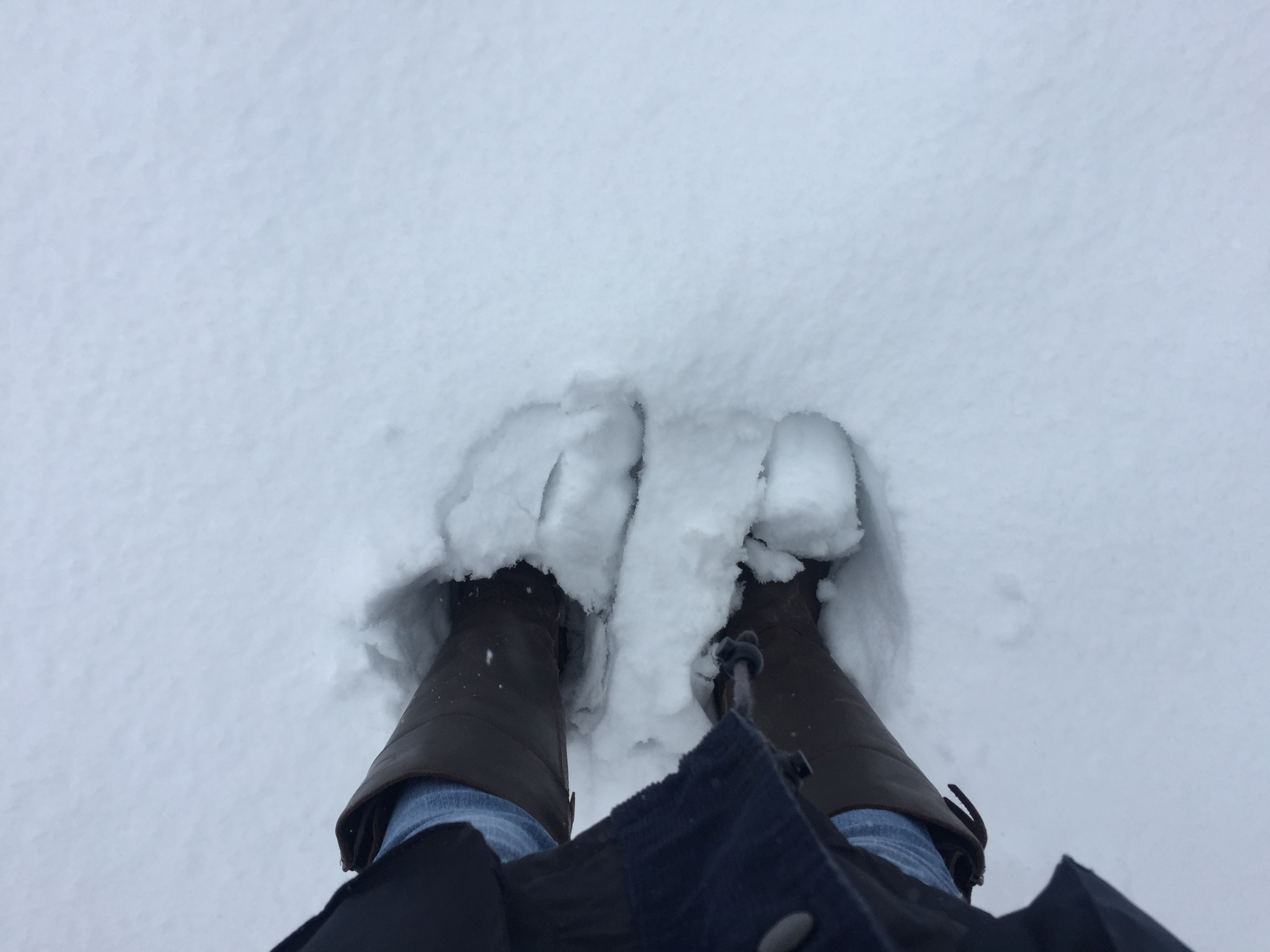 Photo 10-12-2017, 10 53 14.jpg