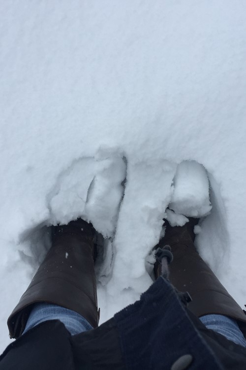 Photo 10-12-2017, 10 53 14.jpg