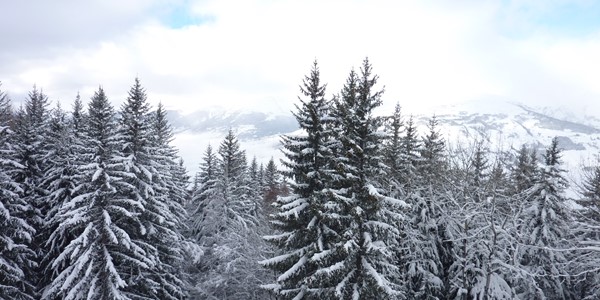 Where Is The Snow? 28th Dec 2017