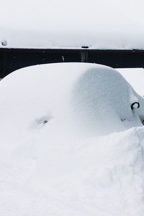 Snow covered car.jpg