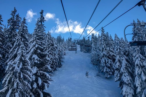 tree lined picturesque ski runs