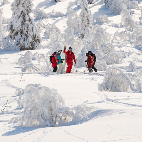 of piste powder in Tysil