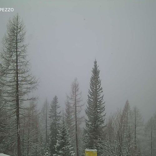 Webcam on the Tofana piste in Cortina - today at 13.50