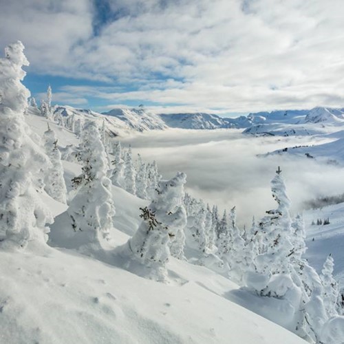 whistler, snowy snow report