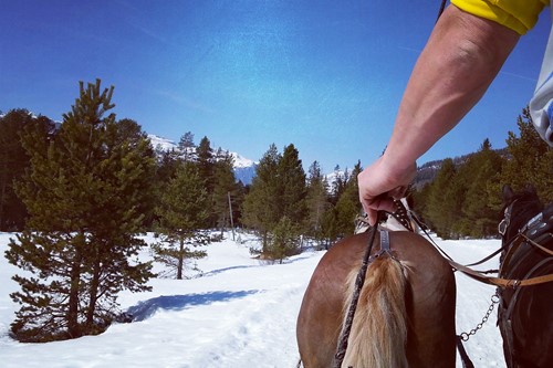 Horse drawn ski lift