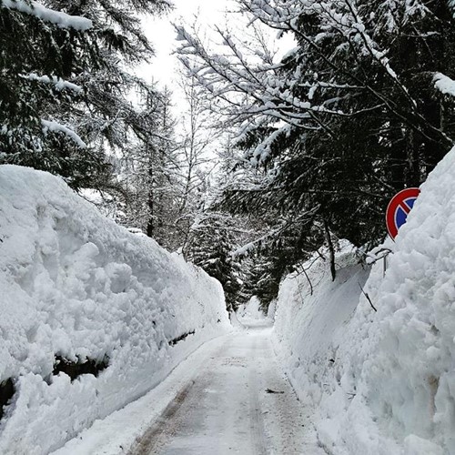 Snow in Courmayeur