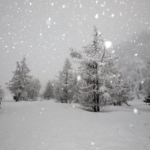 snow in courmayeur