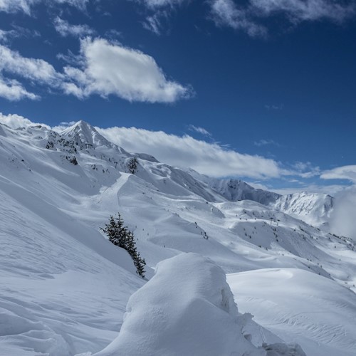 snow in Les Arcs