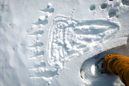 Big Foot in Banff, Alberta