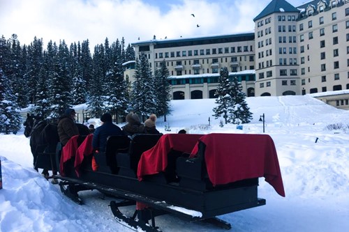 Horse sleigh, lake louise, alberta