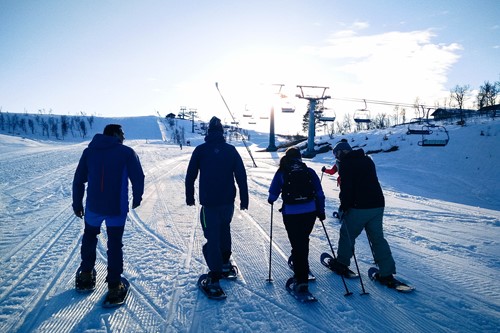 Snowshoeing in Geilo, Norway